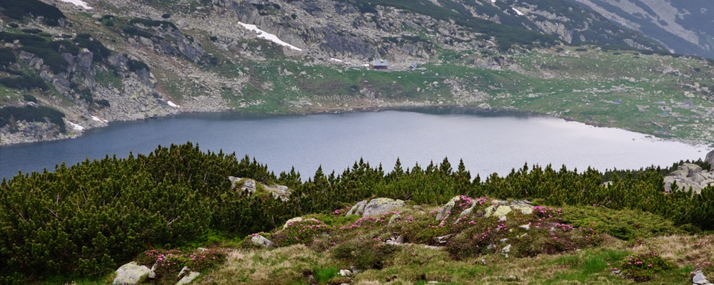 Shiny surface of Bucura Lake from hiking trail